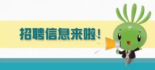 备考策略与心态调整，事业单位考试十一月冲刺指南