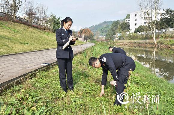 重庆大足公务员招聘，机遇与挑战的交汇点