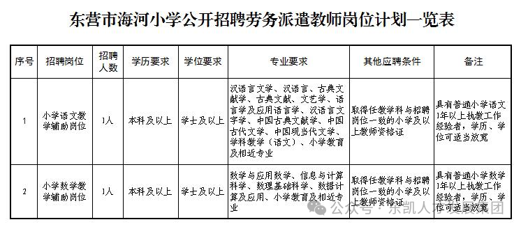 未来教育之光，劳务派遣教师招聘计划（2024年）