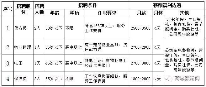 事业编文员招聘全面解析，机遇与挑战的并存