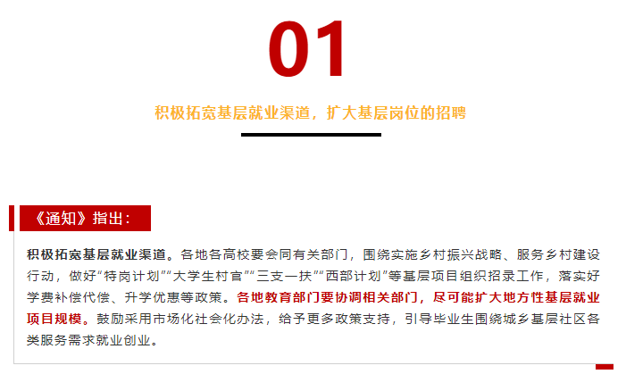 事业编文员招聘要求全面解析