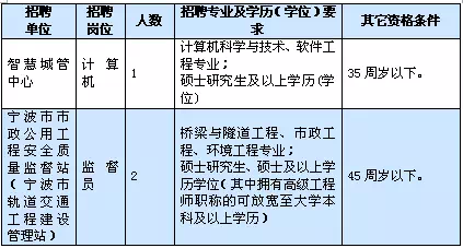 政府信息技术事业编制岗位的角色与重要性解析