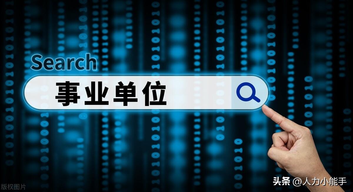 事业单位专业技术岗职责与角色深度解析