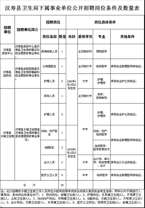 卫生类事业单位招聘网，人才与医疗事业的桥梁通道