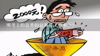 探讨公务员录取费用问题，考生需承担哪些费用？