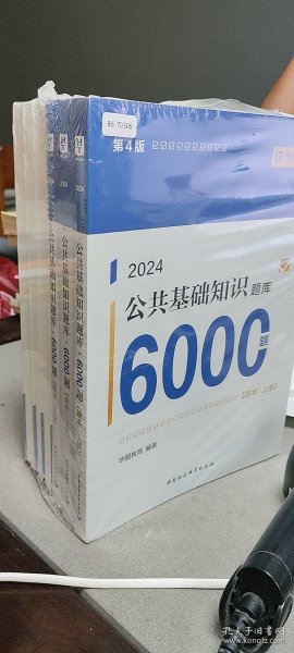 公共基础知识题库，构建2024年知识体系的基石阵地