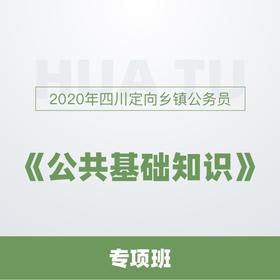 四川定向乡镇公务员公共基础知识深度解析