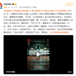 中企高管遭撕票案主犯落网，事件真相揭示与正义的伸张之路