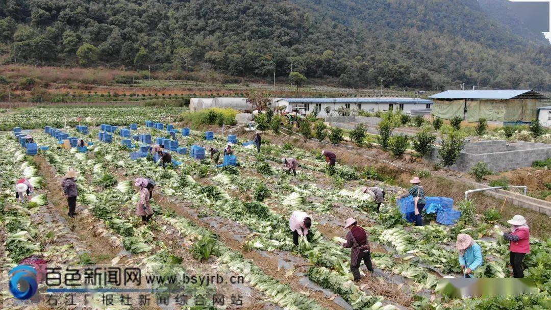 开封农林牧渔业产值突破700亿大关，生态繁荣背后的经济力量