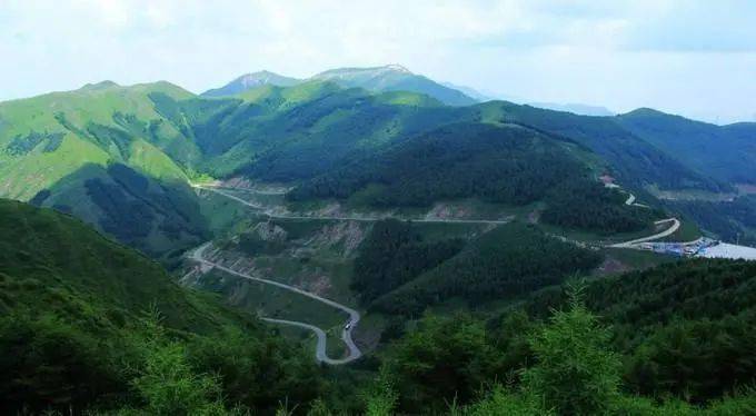 忠县独珠村变形记，山水林田湖草沙保护修复之旅