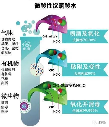 次氯酸的独特化学性质解析，酸性还是碱性？