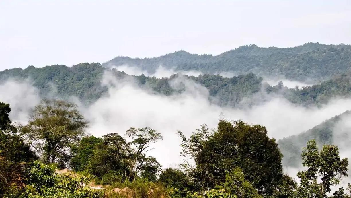 哀牢山，神秘的自然与文化宝库简介