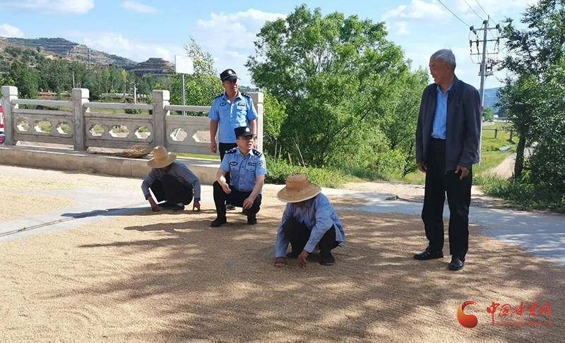 田间警务守护丰收的乐章，新村派出所守护记