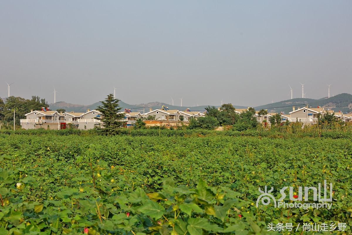 东阿公安民警护学行动中发现迷路儿童并安全送回