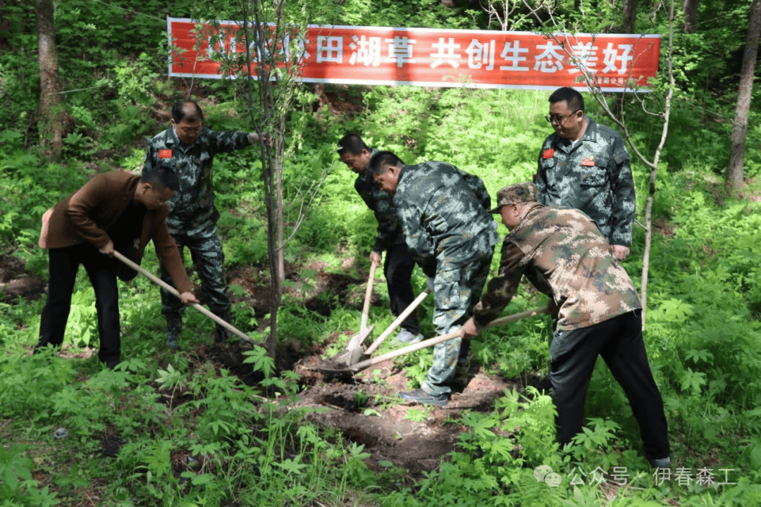 伊春市丰林县搭建多元化服务平台，发挥两大作用，实践与探索之路