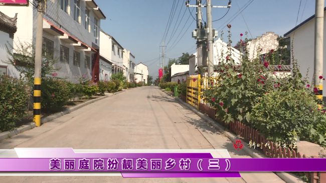 乡村振兴的双向驱动策略，道路修建与村容整治顺民意再提升