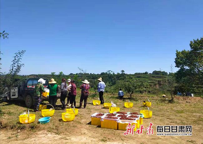 西秀区鸡场乡乡村振兴椒响曲启幕