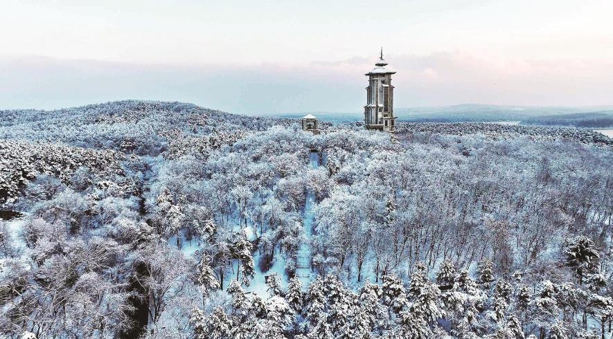 净月高新区，主线引领，多点联动共筑冰雪盛典盛会