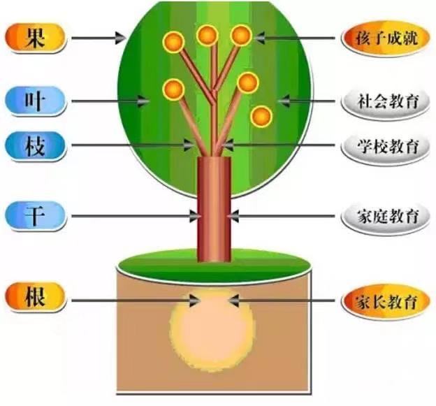 家庭教育与孩子社交能力的紧密关联