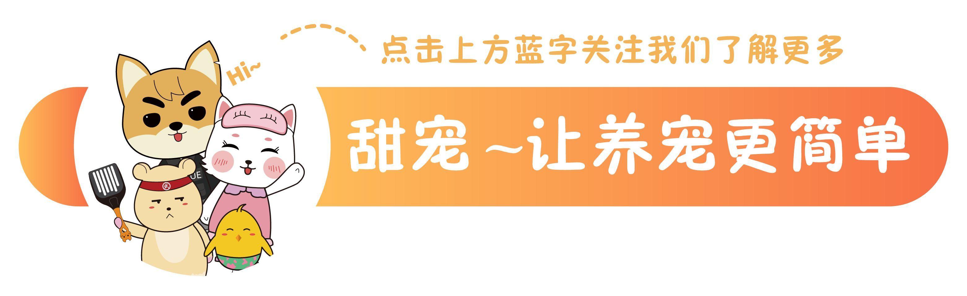 家庭急救应对过敏性休克的方法与策略