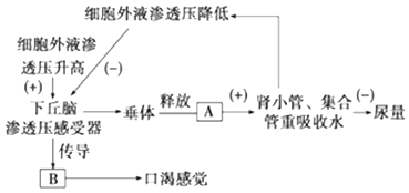 2024年12月3日 第7页