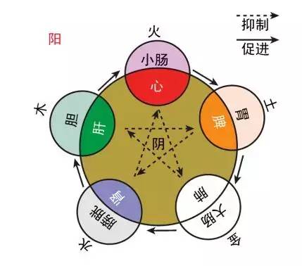 中医阴阳五行理论在养生中的实践应用