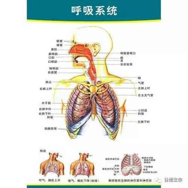 傻笑，那段情 第2页