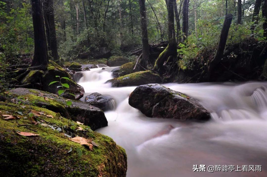 面对困难，调整心态，保持冷静应对之道