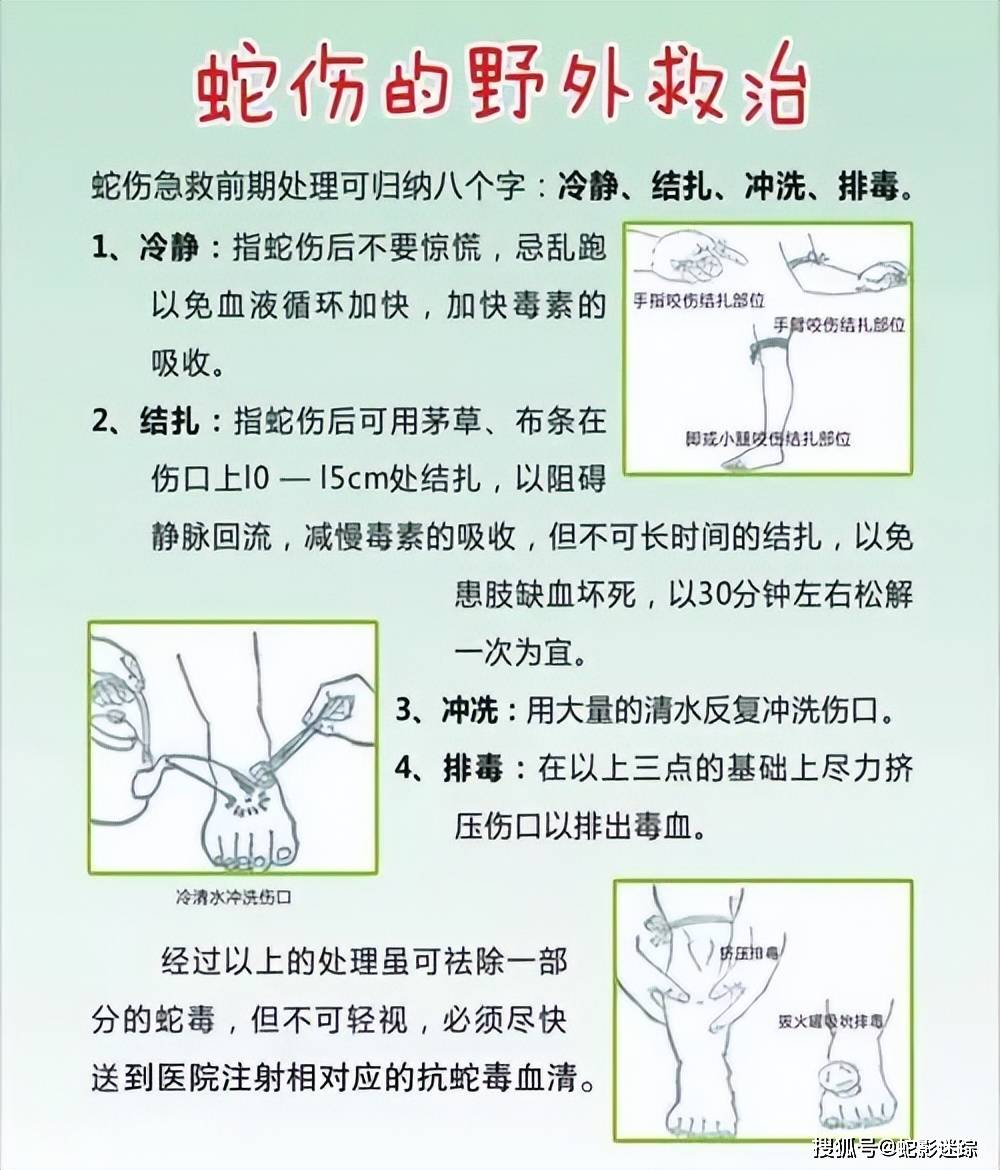 毒蛇咬伤应急处理与急救方法指南