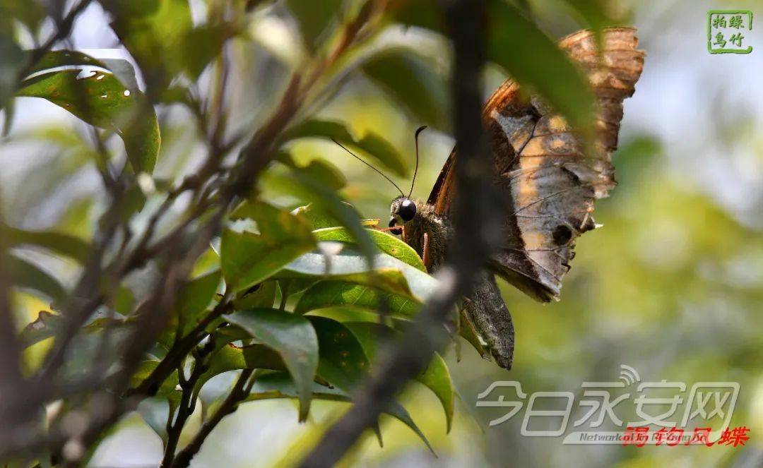 平凡中的不凡 第2页