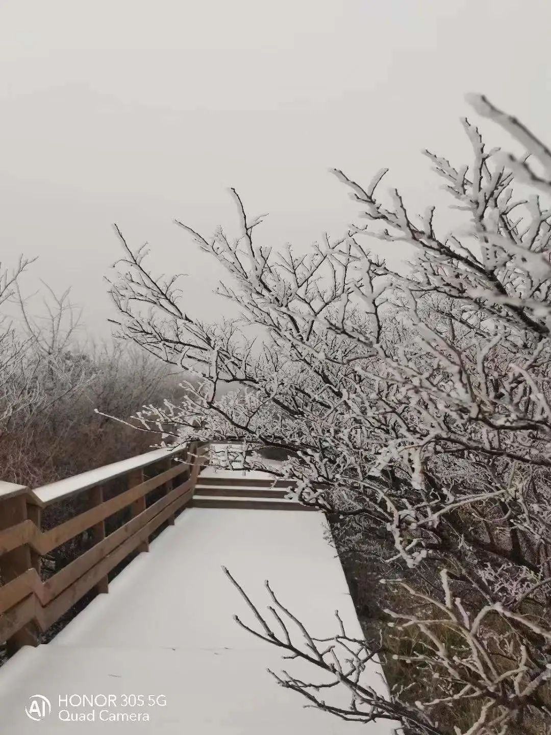 湖北迎雪季来临，冬季气温骤降至5℃！雪的世界即将开启