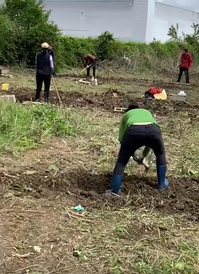 法国荒地变中国菜园，跨国绿色传奇