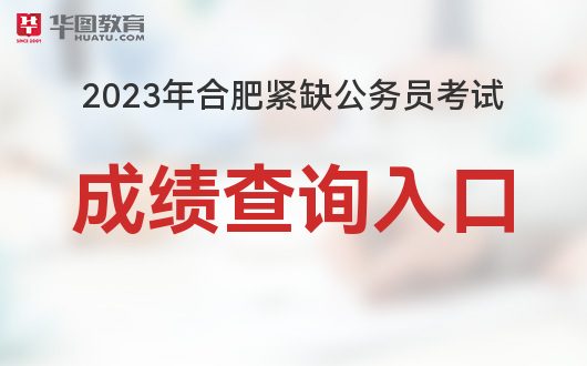 合肥市急需紧缺专业公务员现状、背景与应对策略探究