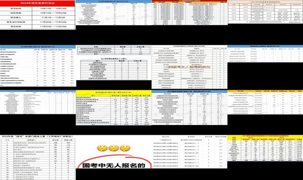 国考无人报考岗位深度分析与思考报告