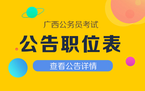 XXXX年公务员招聘公告正式发布，职位、流程全解析！