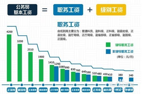 公务员信息化管理职位工资，提升效率与公平性的关键路径探索