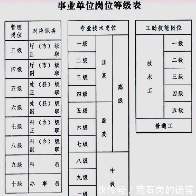 公务员信息技术岗位职责与角色深度解析