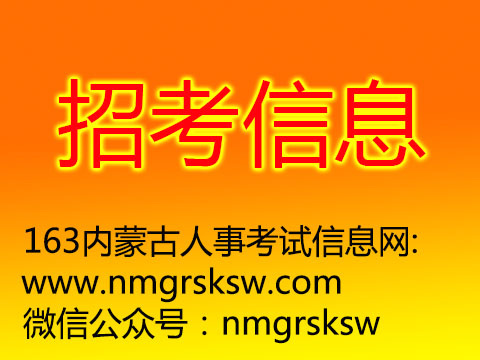 公务员信息技术职位招聘条件全面解析