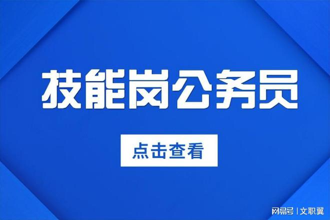 全面解析公务员信息技术岗，发展前景与工作实际探讨