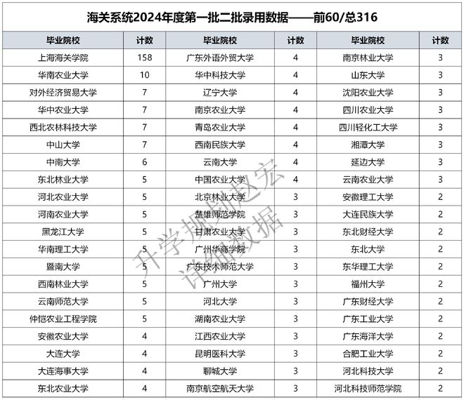 海关招聘热门专业与职业发展路径探讨，专业选择与未来展望