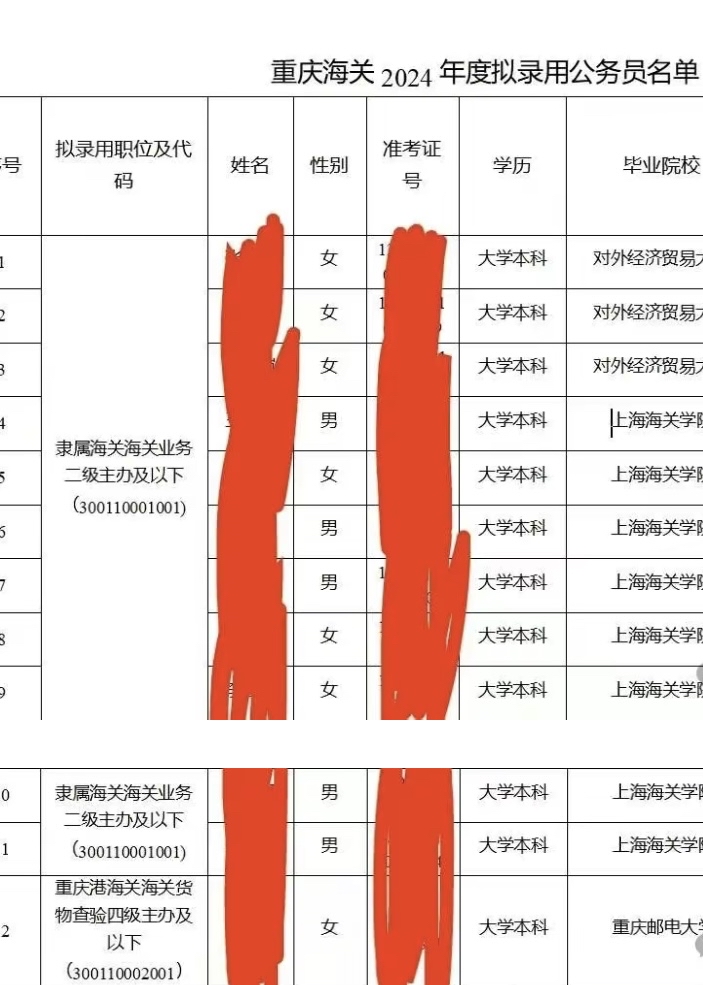 解读2024海关公务员招聘职位表深度解析