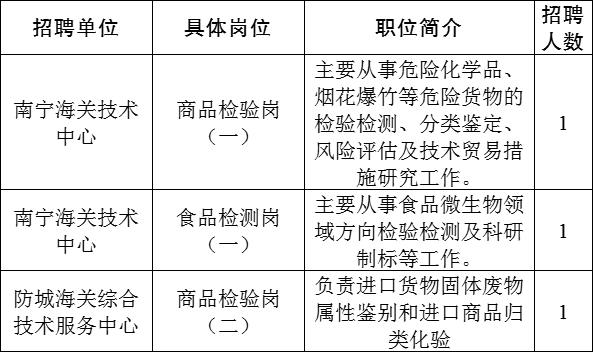 广西海关招聘职位表详解及解析