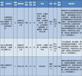 深度解析财务岗位招聘要求与策略建议，招聘流程、职责与技能需求解析