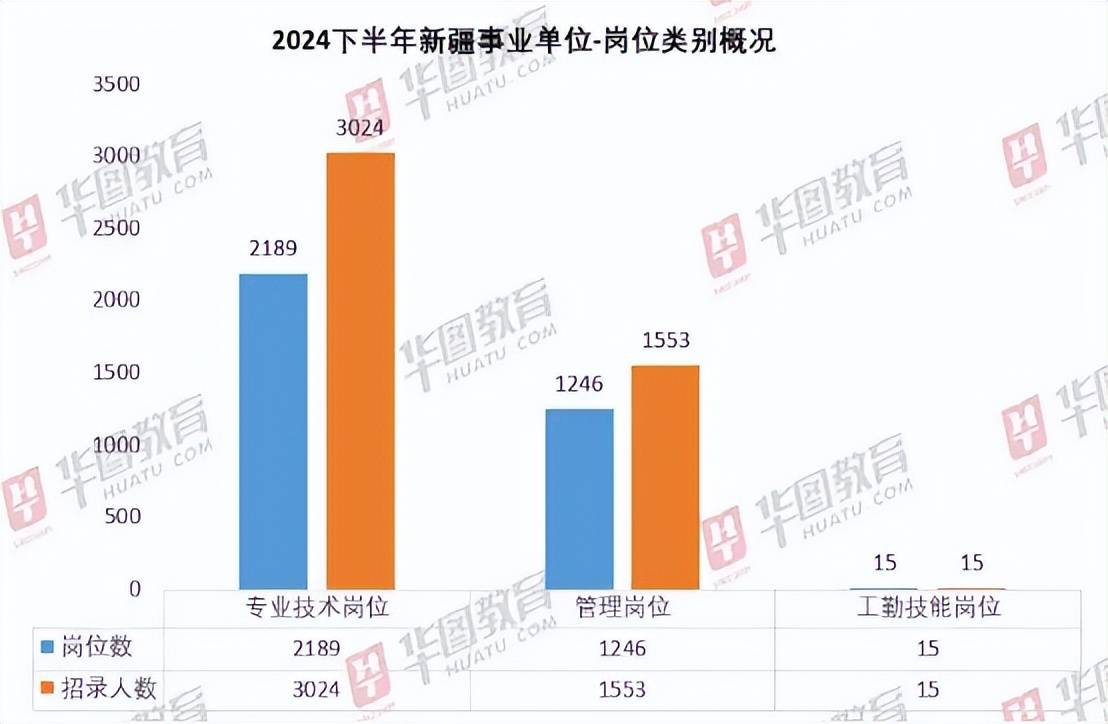 事业编下半年招聘，机遇与挑战的交汇点