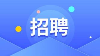 事业编招聘2024，新机遇与挑战的交汇点