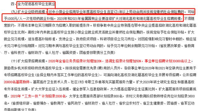 事业编应届生报考指南，政策解读与备考建议