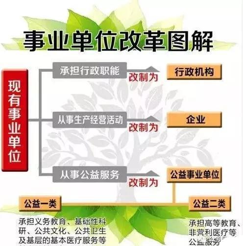 事业单位招聘大变革，重塑人才选拔机制，促进社会公平与发展