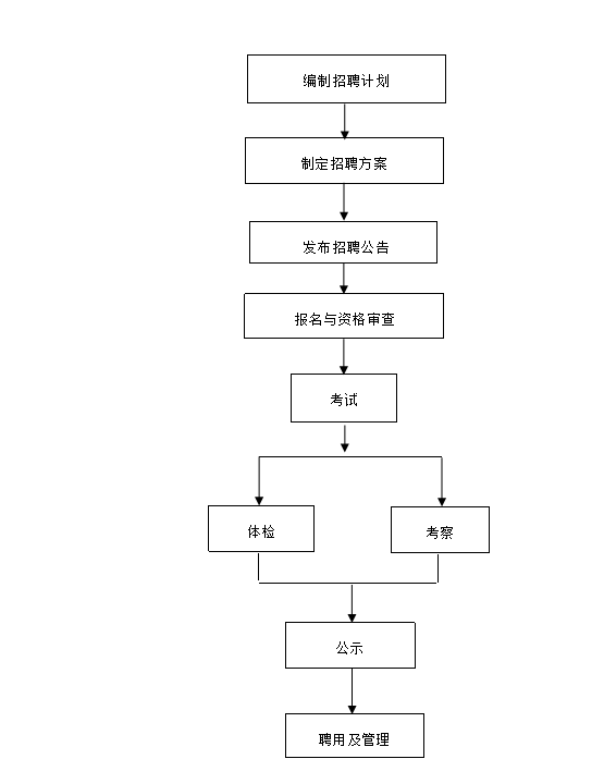 医疗事业单位招聘流程全面解析