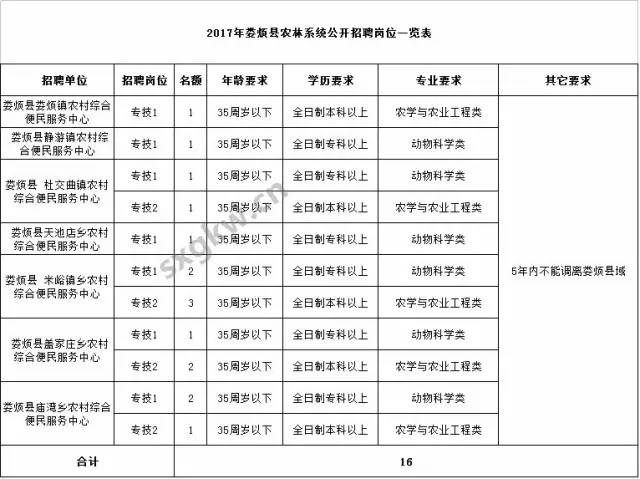 事业编财务岗考试内容与要点深度解析