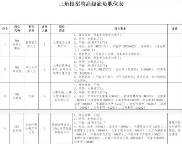 政府事业编制信息技术岗位解析与前景展望